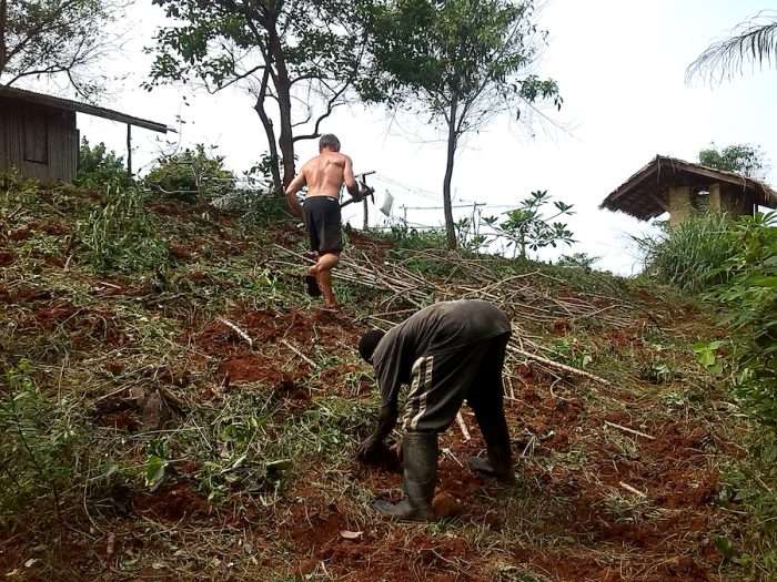 Sustainable Cassava Production on the TYS Farm