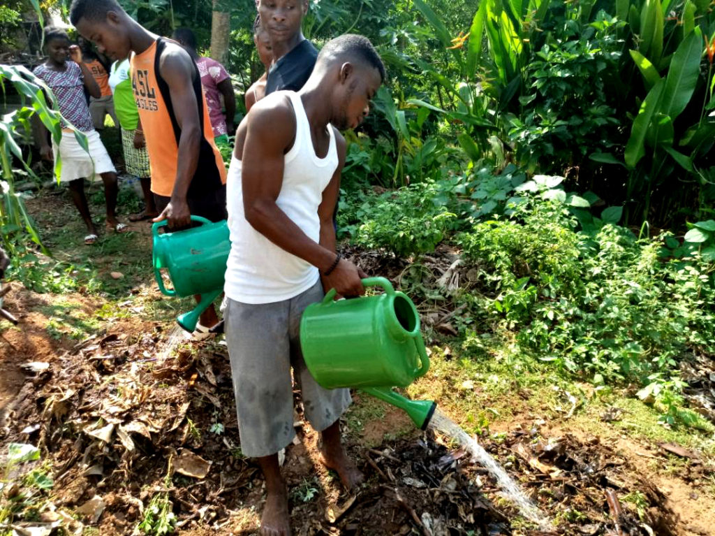 Sustainable Farming with Heavy Mulch and Rain Water