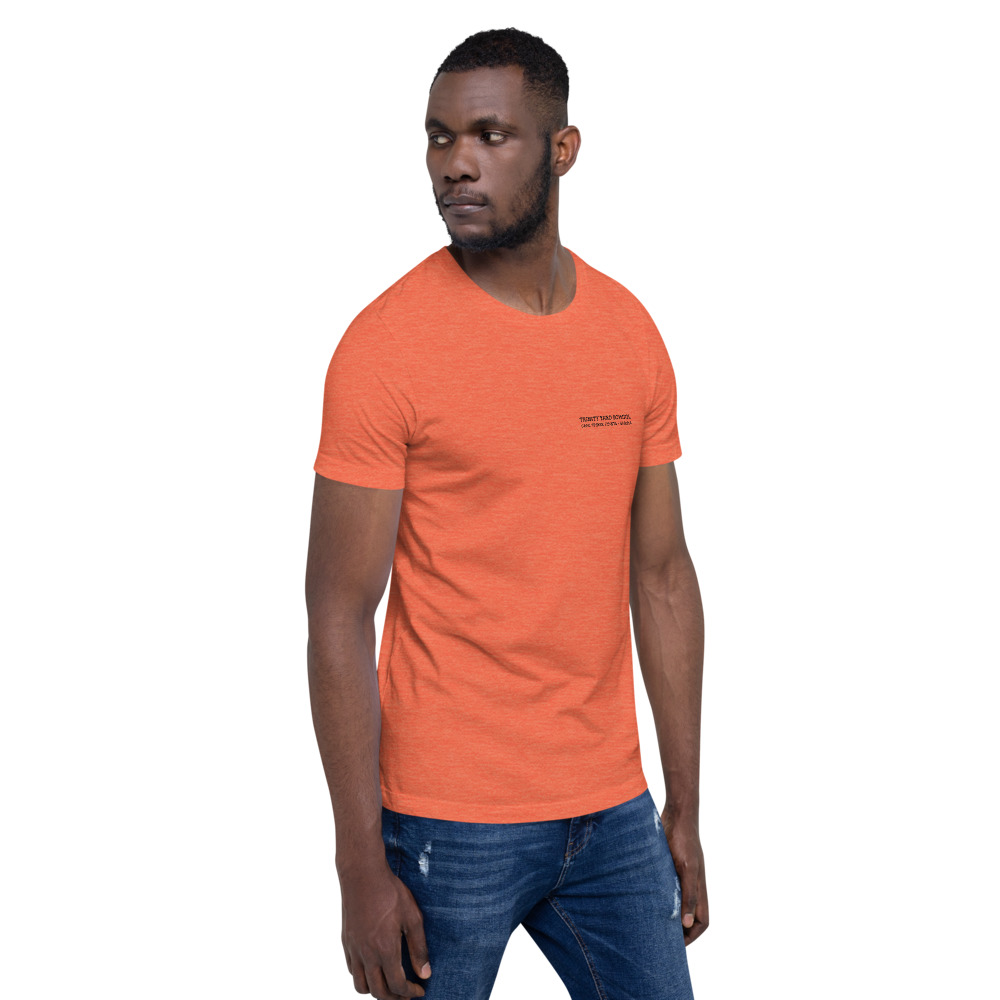 TYS T - Image 23