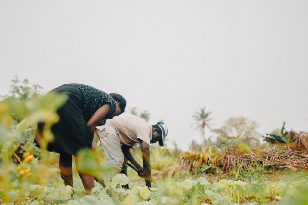 Permaculture Initiative at NGO Schools